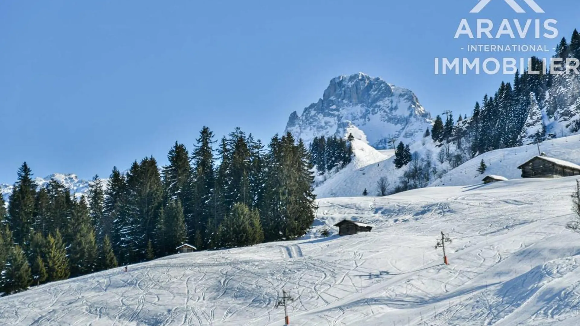 Chalet Confortable Avec Balcon, Garage Et Vue Sur Les Pistes - Fr-1-391-202 Le Grand-Bornand 0*,  France
